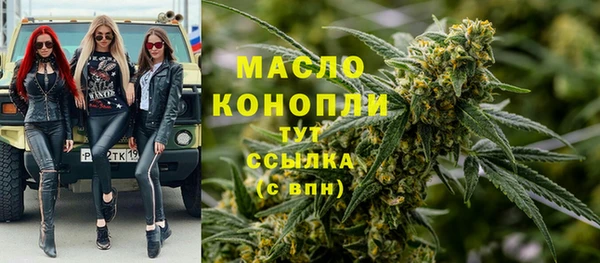 дмт Абаза