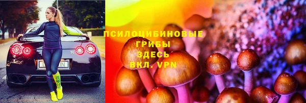 дмт Абаза